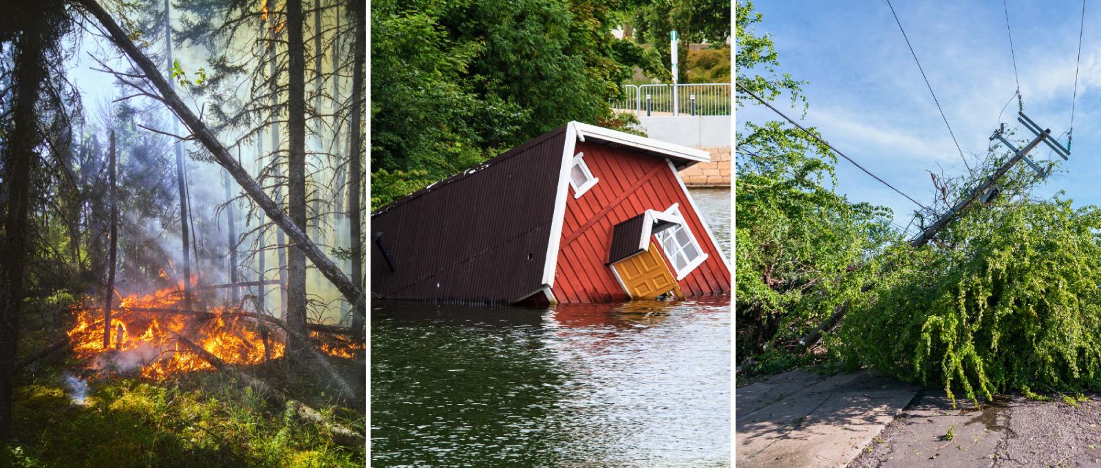 Bild på naturkatastrofer som bränder, översvämningar och jordskred