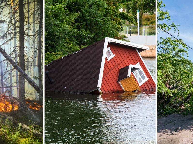 Bild på naturkatastrofer som bränder, översvämningar och jordskred